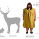 Image for article titled Meet The North American Obeast, A Reclusive & Endangered Species